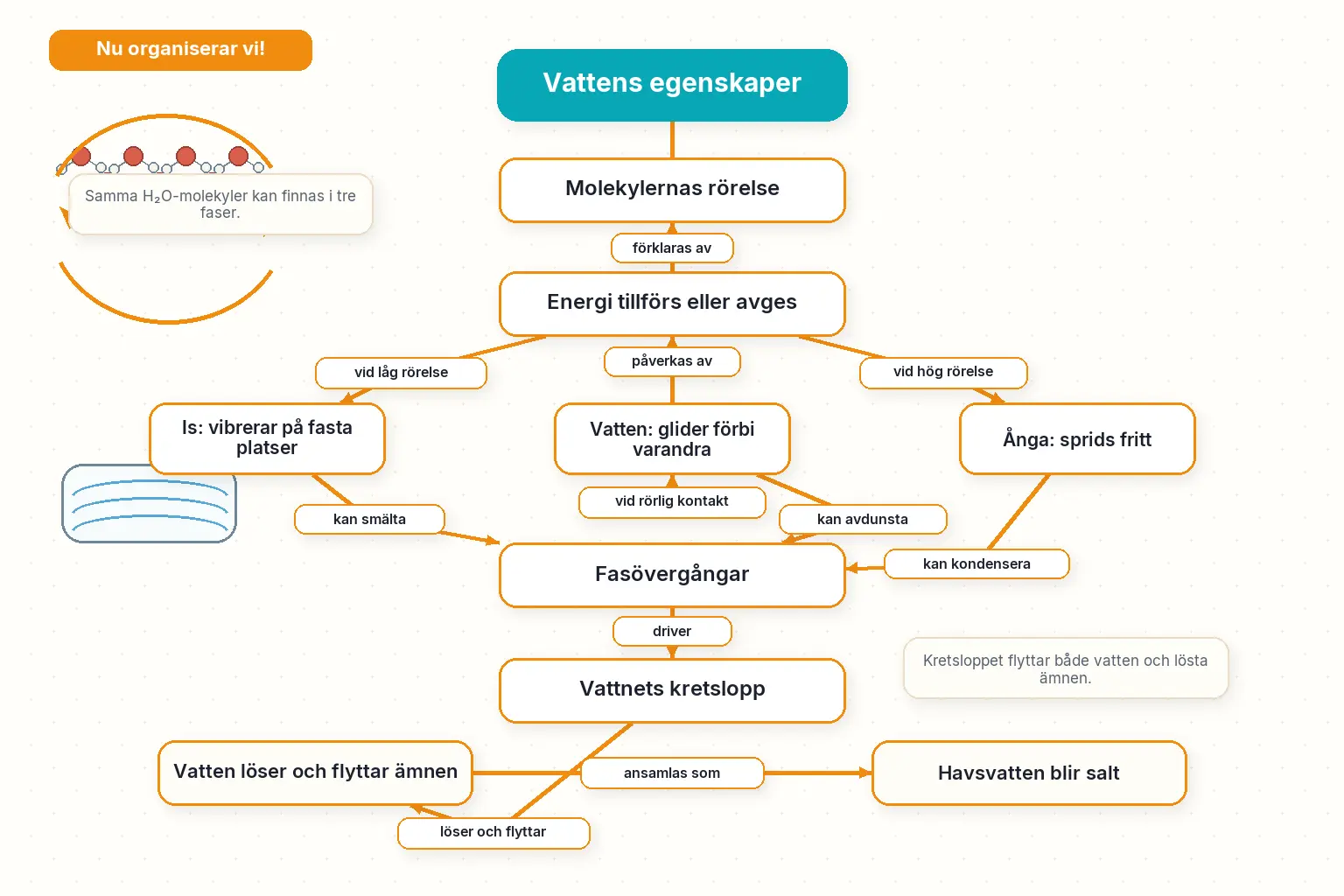 Låt oss organisera det för 2.1 Vattens egenskaper