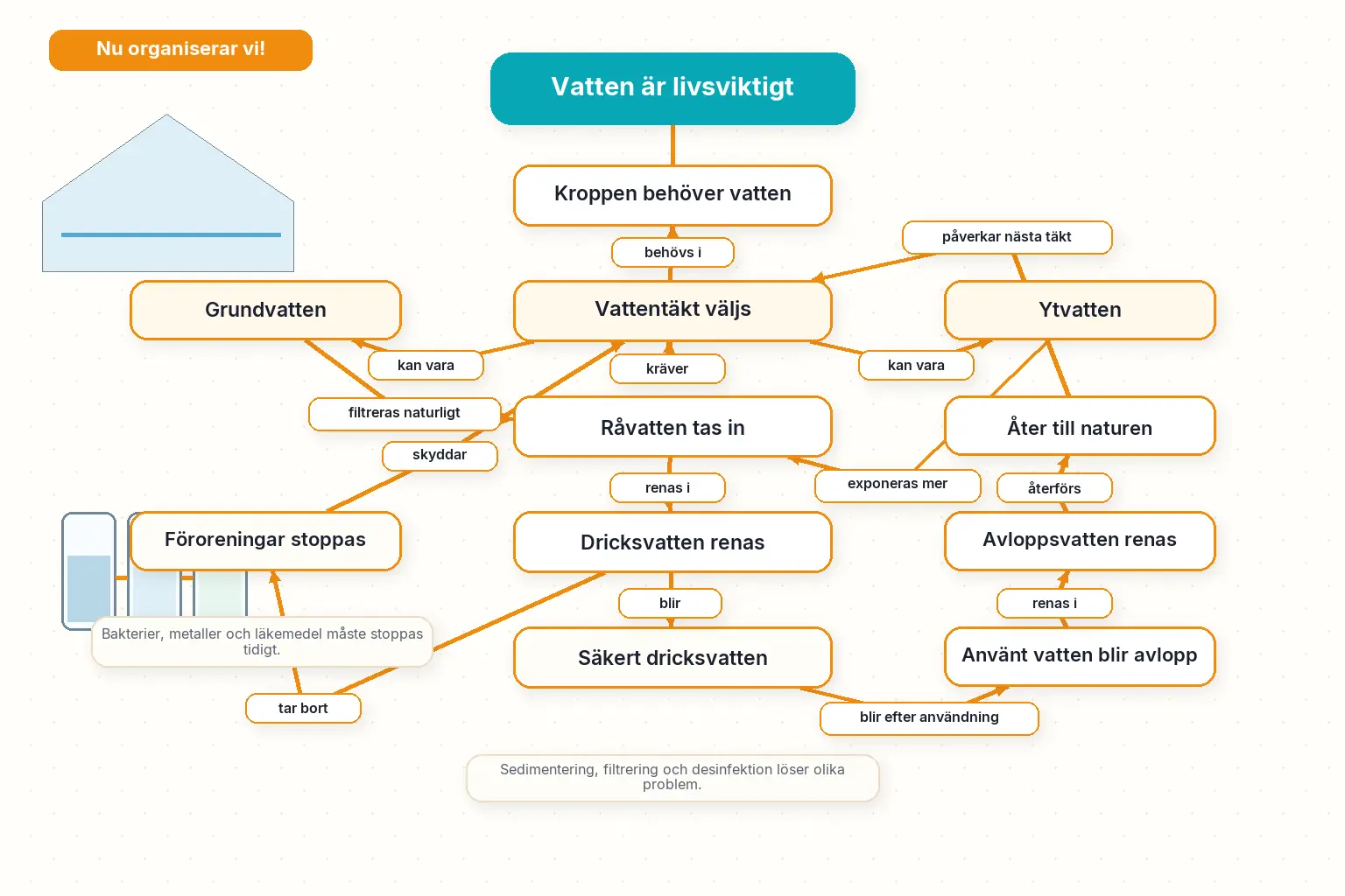 Låt oss organisera det för 2.5 Vatten är livsviktigt