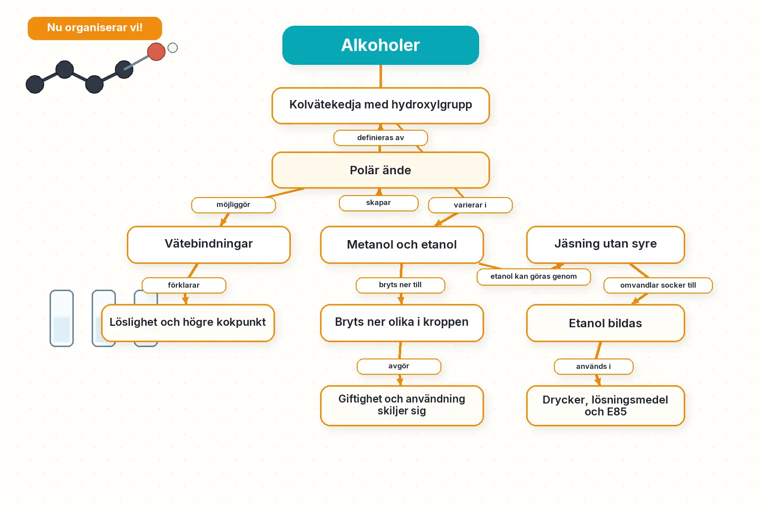 Låt oss organisera det för 3.4 Alkoholer